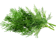 Кріп